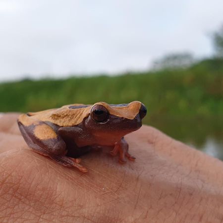 Santa SofíaReserva Natural Tucuchira别墅 外观 照片
